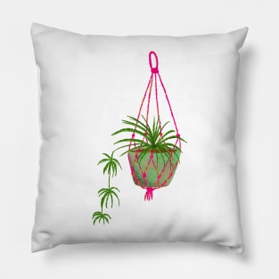 Spider plant macrame Pillow