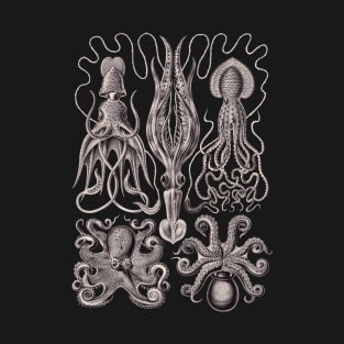 Ernst Haeckel Gamochonia Octopus Lavender Grey T-Shirt