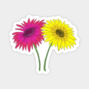 Gerbera Daisies Magnet