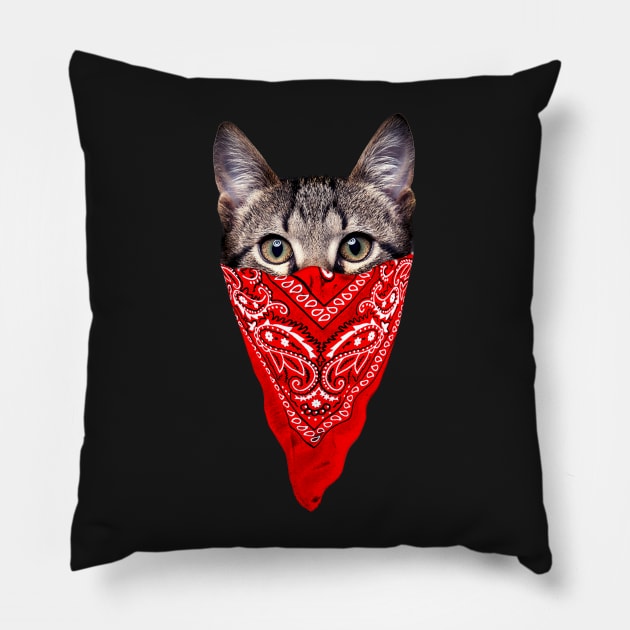 Gangster Cat Pillow by clingcling