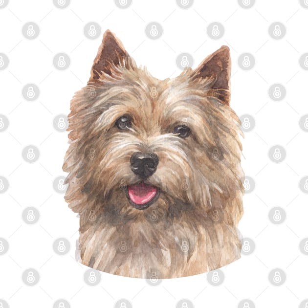 Norwich Terrier Watercolor Art by doglovershirts