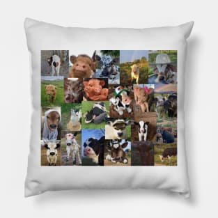 cows aesthetic collage Pillow