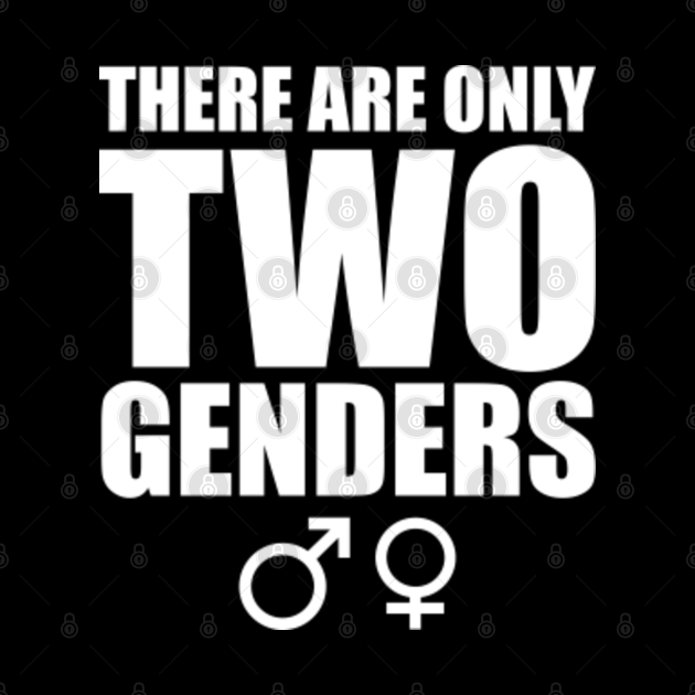 There Are Only Two Genders Gender Mask Teepublic
