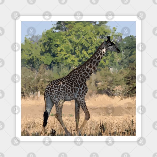 Zambia giraffe Magnet by TomFrontierArt