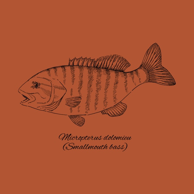 MICROPTERUS DOLOMIEU by eugeniahauss