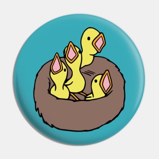 Baby Birds In Nest Pin