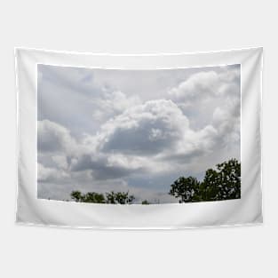 Puppy Dog cloud Tapestry