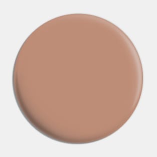 Minimalist dusty roasted terracotta earth color Pin