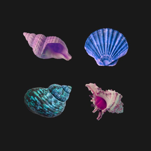 Cool Seashell 4 Pack by softbluehum