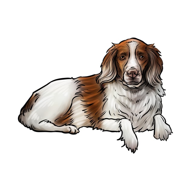 Brittany Spaniel Dog by whyitsme