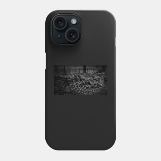 Dry Stone Wall Damage Phone Case