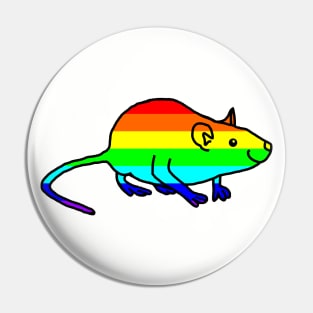 Cute Rainbow Rat Pin