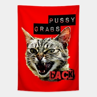 Pussy Grabs Back Tapestry