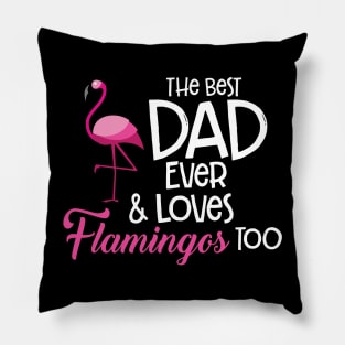 'The Best Dad Ever and loves Flamingos Too' Gift Pillow
