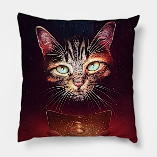 Cat 4 Pillow