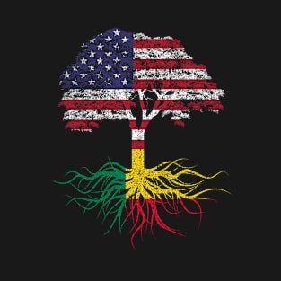 American Grown with Beninese Roots USA Flag T-Shirt