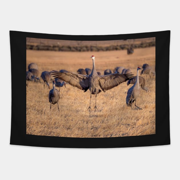 Wingspan Tapestry by algill