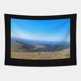 Mountain view Tapestry