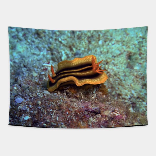 Chromodoris joshi nudibranch Tapestry by likbatonboot