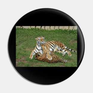 Tigers Pin