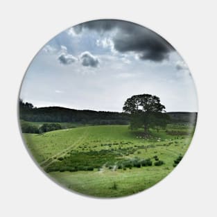 The contrast of midday -  farmland near Crieff, west perthshire, Scotland, UK Pin