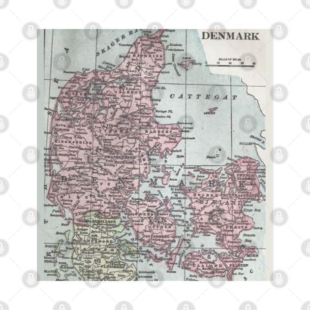 Denmark antiquarian map 1800s by djrunnels
