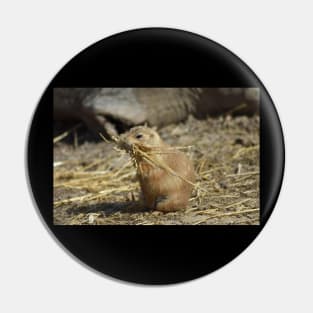 Prairie Dog Pin