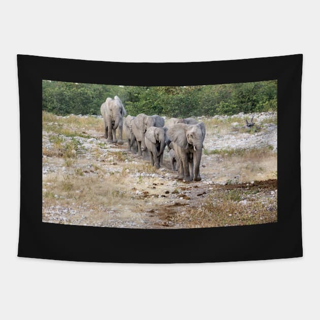 Elephants in a line. Tapestry by sma1050