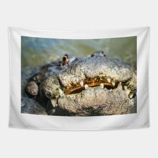 Big Smiling Alligator Tapestry