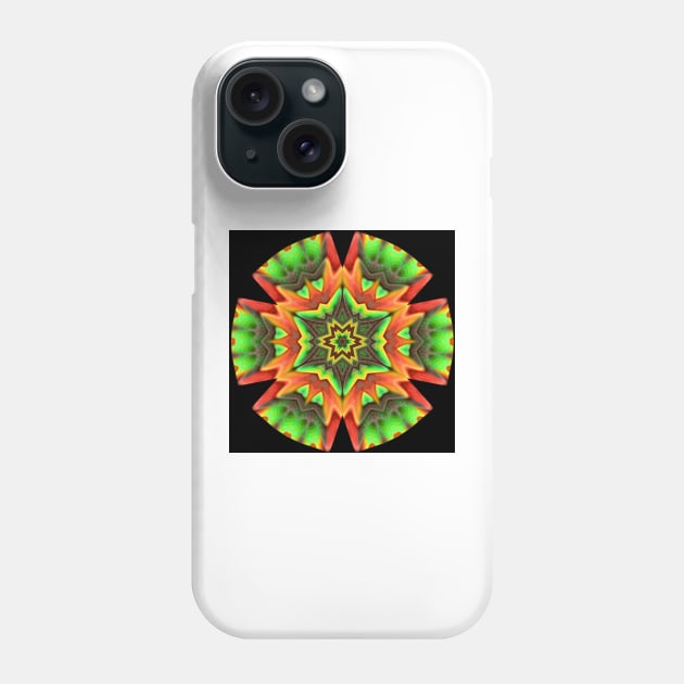 Vibrant Earth Medallion Phone Case by Michaelm43