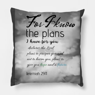 Bible verse Jeremiah 29:11 on hand drawn sky digital painting Pillow