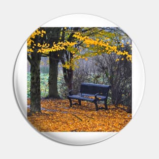 Fall Park Bench Pin