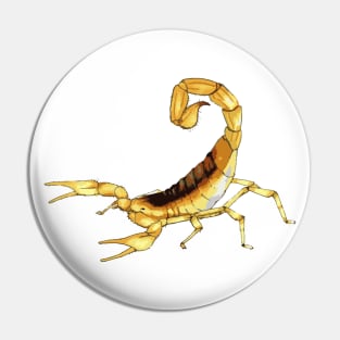 Scorpion Pin