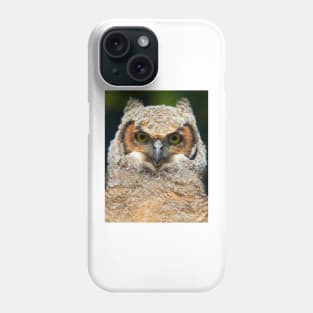 Great Horned owlet Phone Case