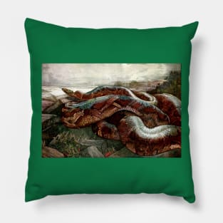 Jungle Book - Kaa the Python - Detmold Brothers Pillow