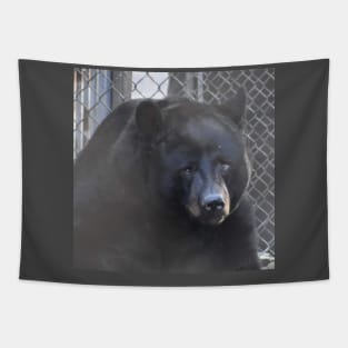Black Bear Tapestry