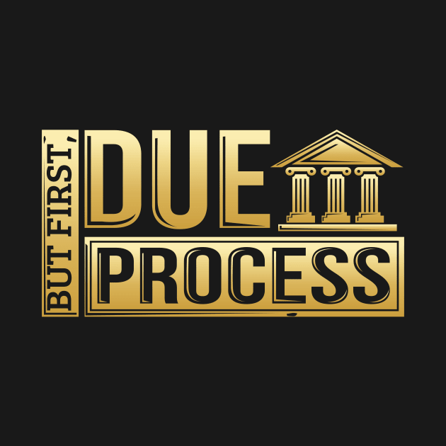 But First, Due Process Lawyer & Attorney Trial by theperfectpresents