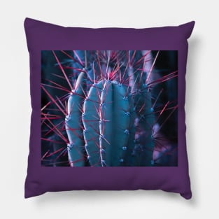 cactus Pillow