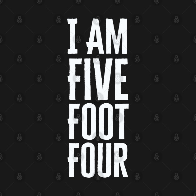 I Am Five Foot Four by HobbyAndArt