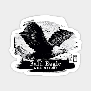 Bald Eagle - WILD NATURE - BALD EAGLE -12 Magnet