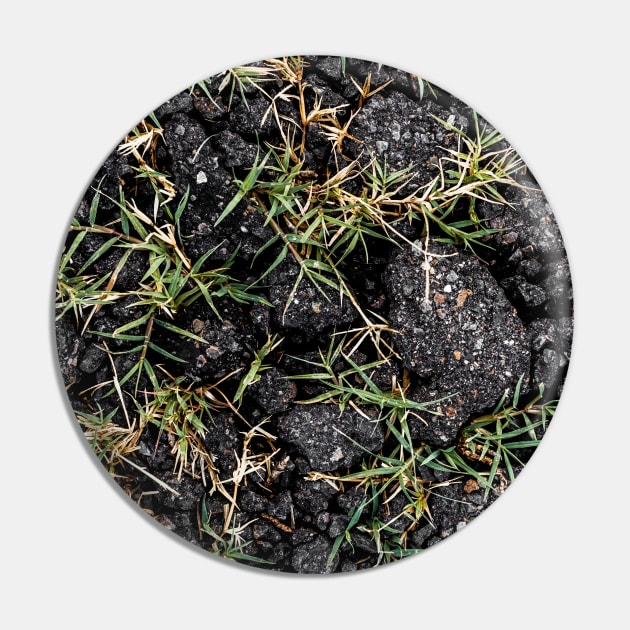 Green Grass Growing On Black Stones - Alternative Pin by textural