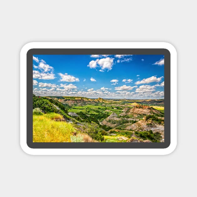 44121  Theodore Roosevelt National Park Magnet by Gestalt Imagery