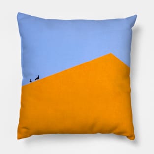 Pigeons on pyramid Pillow