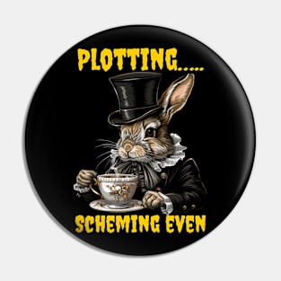 Plotting…..scheming even Pin