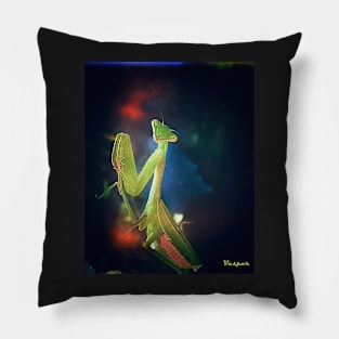 Eye Contact with the Mantis Pillow