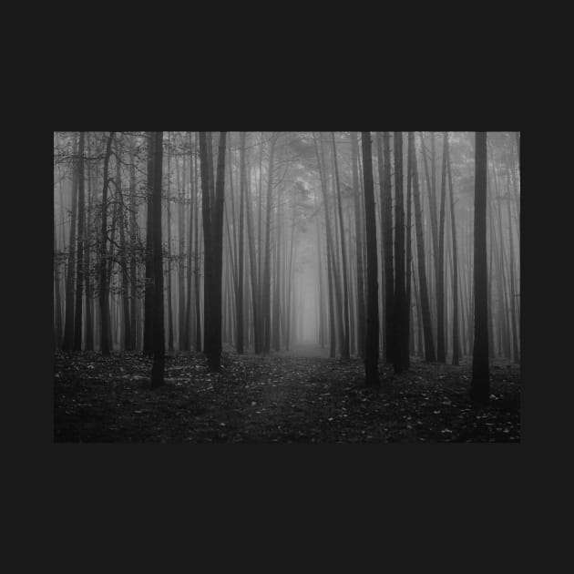 black and white foggy woods folklore taylor swift by opptop