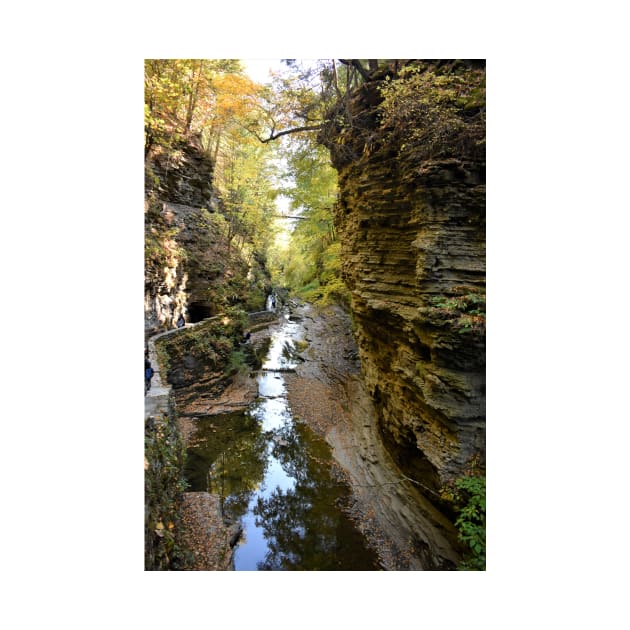 Watkins Glen Gorge, New York by searchlight