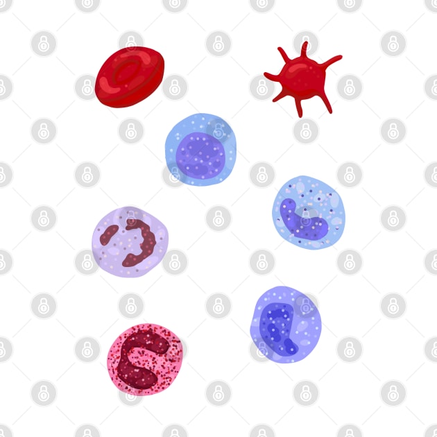 Hand Drawn Normal Blood Cells Pack by Sofia Sava