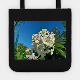 Frangipani in the Bahamas Tote