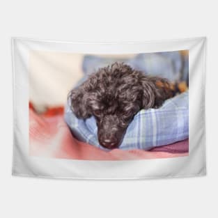 little bundle Tapestry